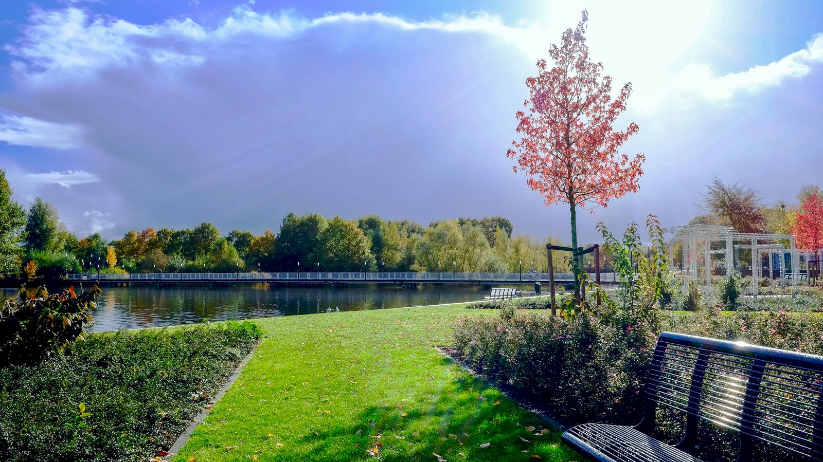 Beautiful sunny park scene featuring benches, a lake, and lush greenery under a bright sky.